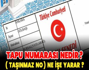 Tapu Numarası Nedir? (Taşınmaz No) Ne İşe Yarar?