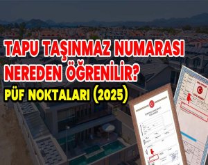 Tapu taşınmaz numarası nereden öğrenilir? Püf Noktaları(2025)
