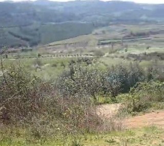 GEYVE DOĞANTEPE'DE  SATILIK  TARLA