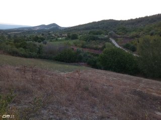 GEYVE HALDİYE'DE  SATILIK TARLA