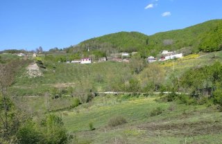 GEYVE KAMIŞLIDA SATILIK  TARLA