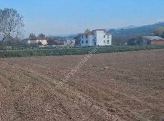 HACIKÖY'DE SATILIK FIRSAT  TARLA