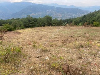 GEYVE KÖPRÜBAŞI MAHALLESİNDE 1845 m² MANZARALI TİNY HOUSE VE BUNGALOW İÇİN İDEAL YATIRIMLIK ARAZİ