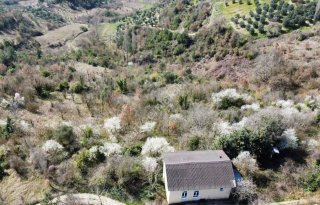 GEYVE ALİFUATPAŞA MERKEZE 3 KM KONTEYNER İÇİN İDEAL 153 m² MANZARALI YOLU SUYU VAR