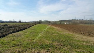 ADAPAZARI ÖRENTEPE MAHALLESİNDE SATILIK 891 M2 TARLA