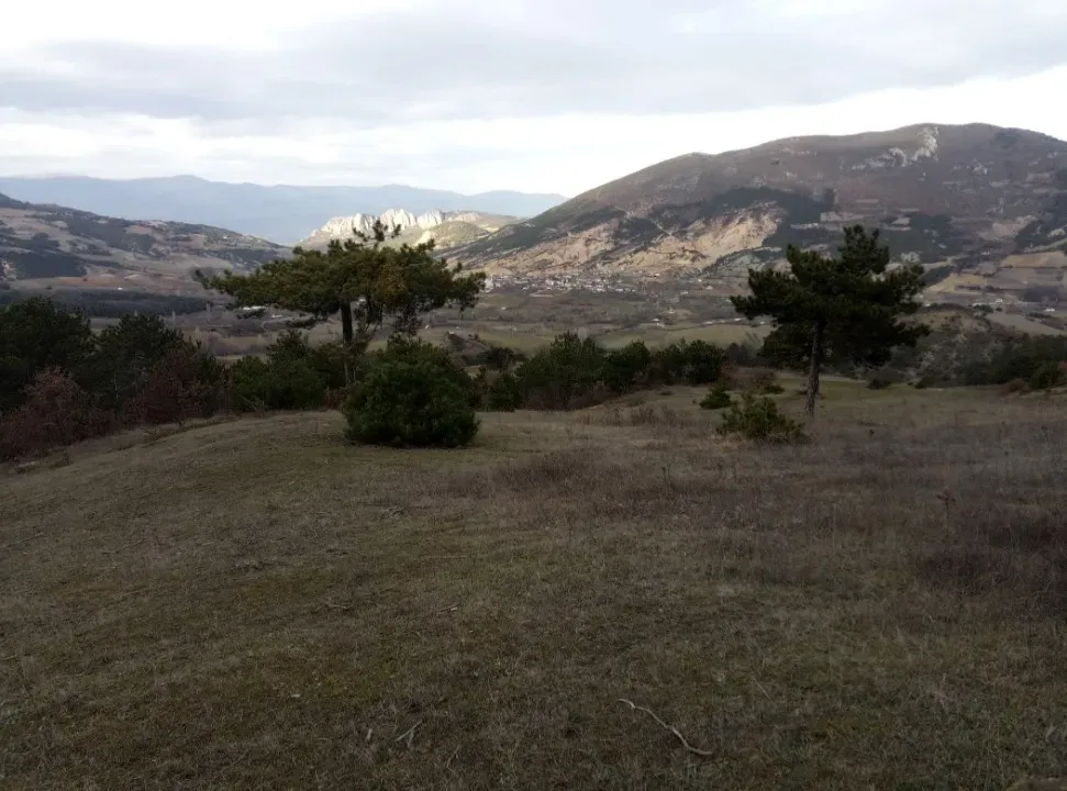 GEYVE AKDOĞAN KÖYÜNDE YATIRIMLIK 4842 m2 HESAPLI MANZARALI ARAZİ