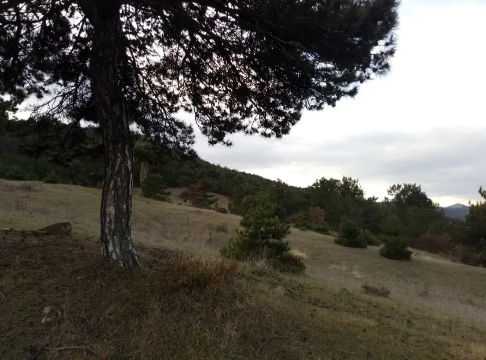 GEYVE AKDOĞAN KÖYÜNDE YATIRIMLIK 4842 m2 HESAPLI MANZARALI ARAZİ