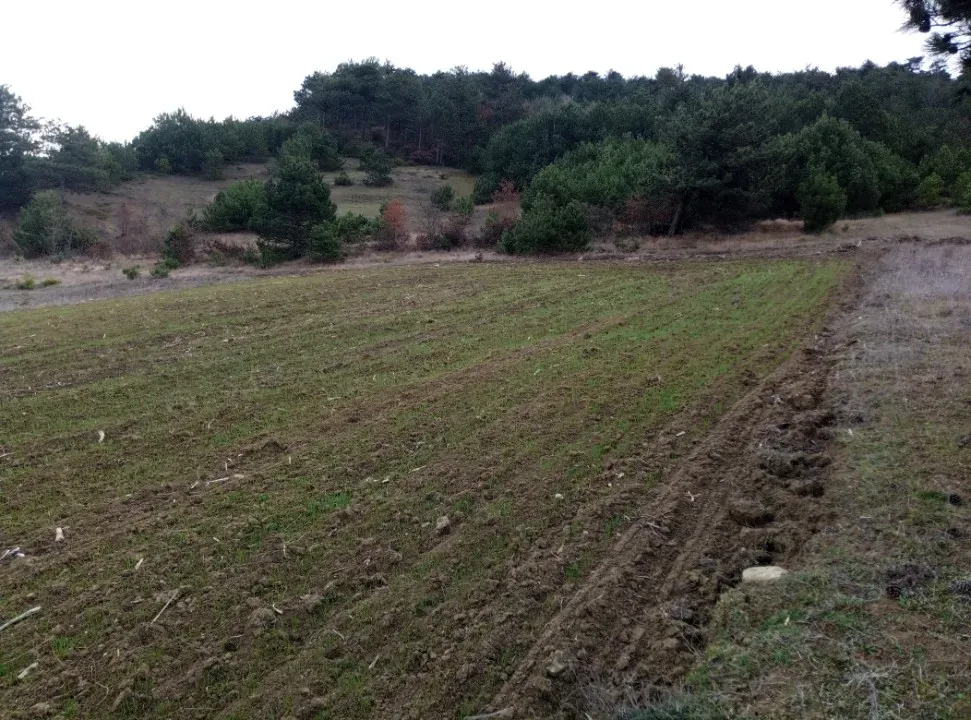GEYVE AKDOĞAN KÖYÜNDE YATIRIMLIK 4842 m2 HESAPLI MANZARALI ARAZİ
