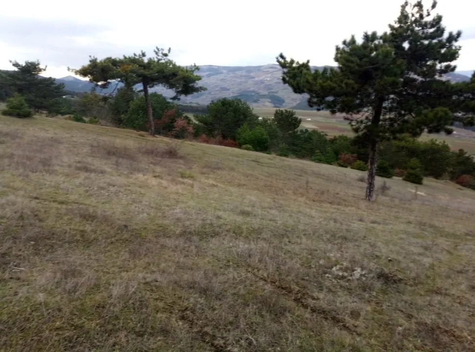 GEYVE AKDOĞAN KÖYÜNDE YATIRIMLIK 4842 m2 HESAPLI MANZARALI ARAZİ