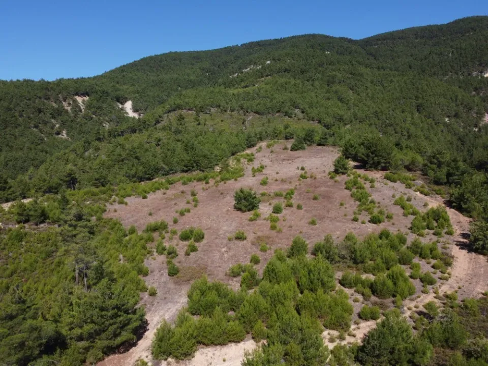 AVCI EMLAK’TAN GEYVE ÇAMLIK KÖYÜNDE YATIRIMLIK 2090 m2 MANZARALI ARAZİ