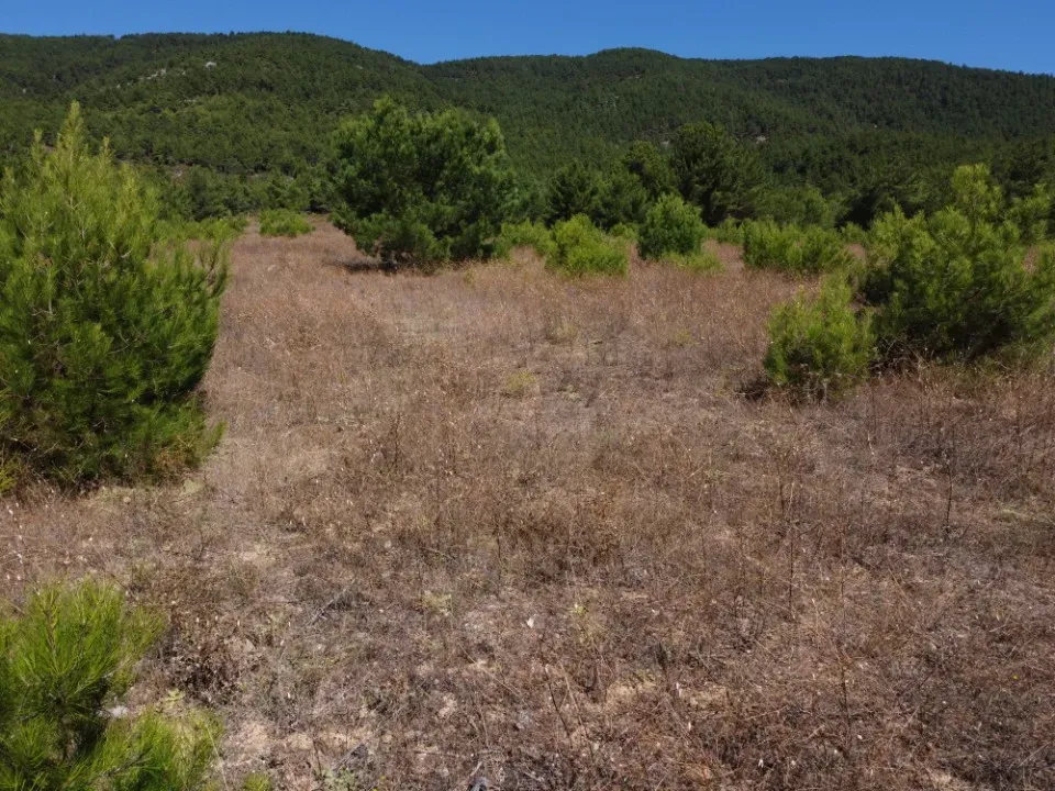 AVCI EMLAK’TAN GEYVE ÇAMLIK KÖYÜNDE YATIRIMLIK 2090 m2 MANZARALI ARAZİ