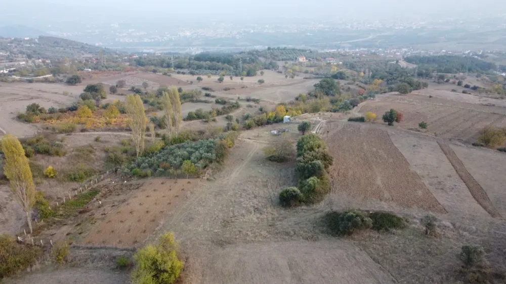 AVCI EMLAK'TAN GEYVE DÜZAKÇAŞEHİR MAHALLESİNDE 3713 m2 TAM YATIRIMLIK KUPON ARSA