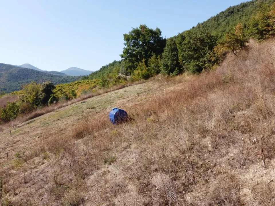 AVCI EMLAK'TAN GEYVE OKUL MAHALLESİ'NDE KONTEYNER İÇİN İDEAL YOL-SU 312 m2 GÜNEY CEPHE MANZARALI