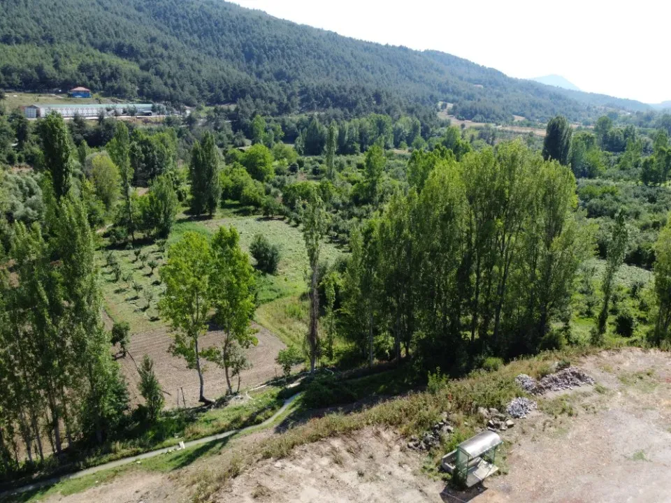 AVCI EMLAK’TAN GEYVE ŞEHREN’DE DERE KENARINDA YOLA CEPHE 1150 m² DÜMDÜZ ARAZİ