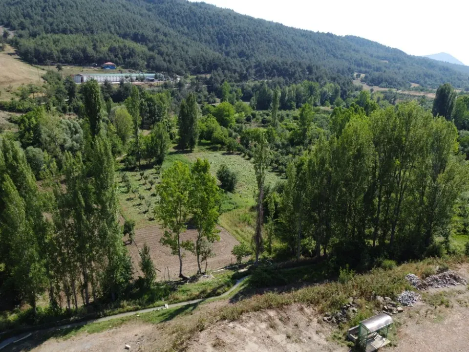 AVCI EMLAK’TAN GEYVE ŞEHREN’DE DERE KENARINDA YOLA CEPHE 1150 m² DÜMDÜZ ARAZİ