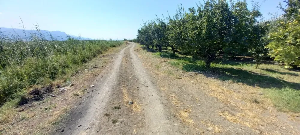 AVCI EMLAK'TAN GEYVE İLÇESİ UMURBEY KÖYÜ OVASINDA 4712 m2 YOLA CEPHE VERİMLİ AYVALIK