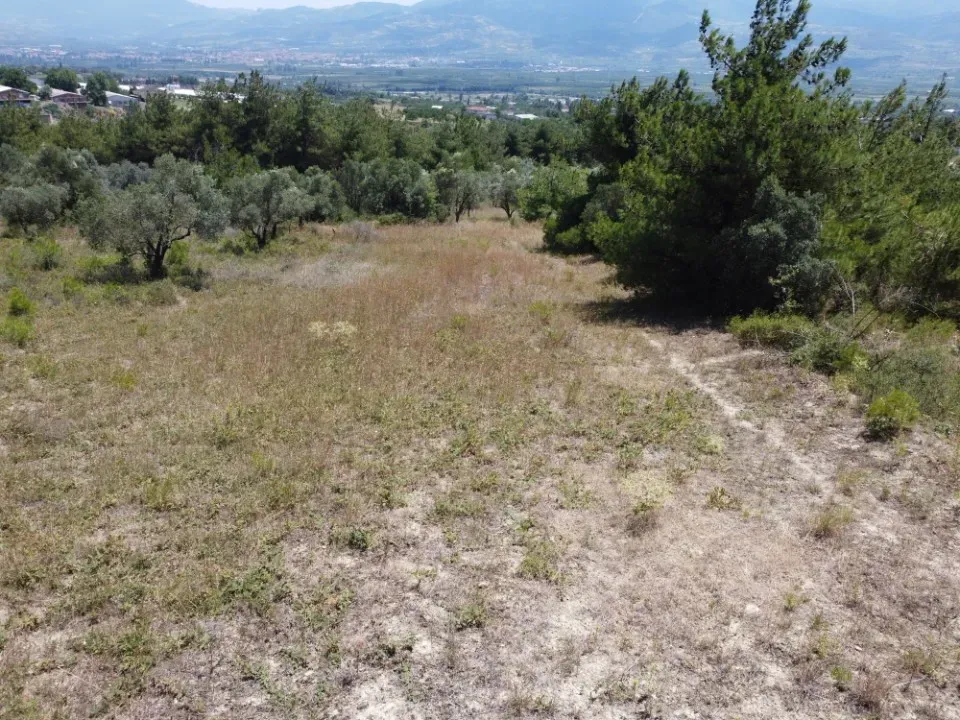 AVCI EMLAK'TAN PAMUKOVA İLÇESİ TEŞVİKİYE KÖYÜNDE MANZARALI YATIRIMLIK 724 m² YOLA CEPHE TİNY HOUSE İÇİN İDEAL