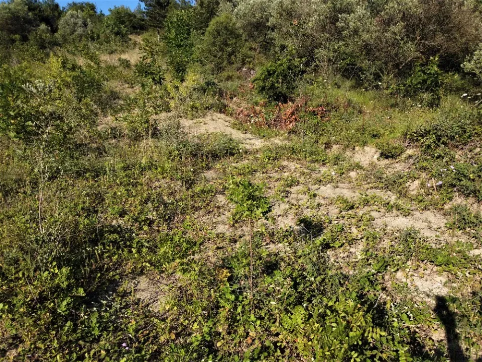 AVCI EMLAK'TAN GEYVE KÖPRÜBAŞI'NDA 1127 m2 MANZARALI TİNY HOUSE VE PREFABRİK İÇİN ARSA