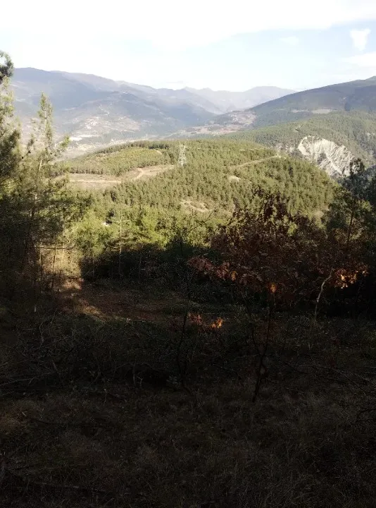 AVCI EMLAK'TAN GEYVE İLÇESİ AHİBABA KÖYÜNDE 740 m2 YATIRIMLIK, MANZARALI, ANA YOLA YAKIN ARAZİ