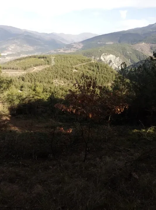 AVCI EMLAK'TAN GEYVE İLÇESİ AHİBABA KÖYÜNDE 740 m2 YATIRIMLIK, MANZARALI, ANA YOLA YAKIN ARAZİ