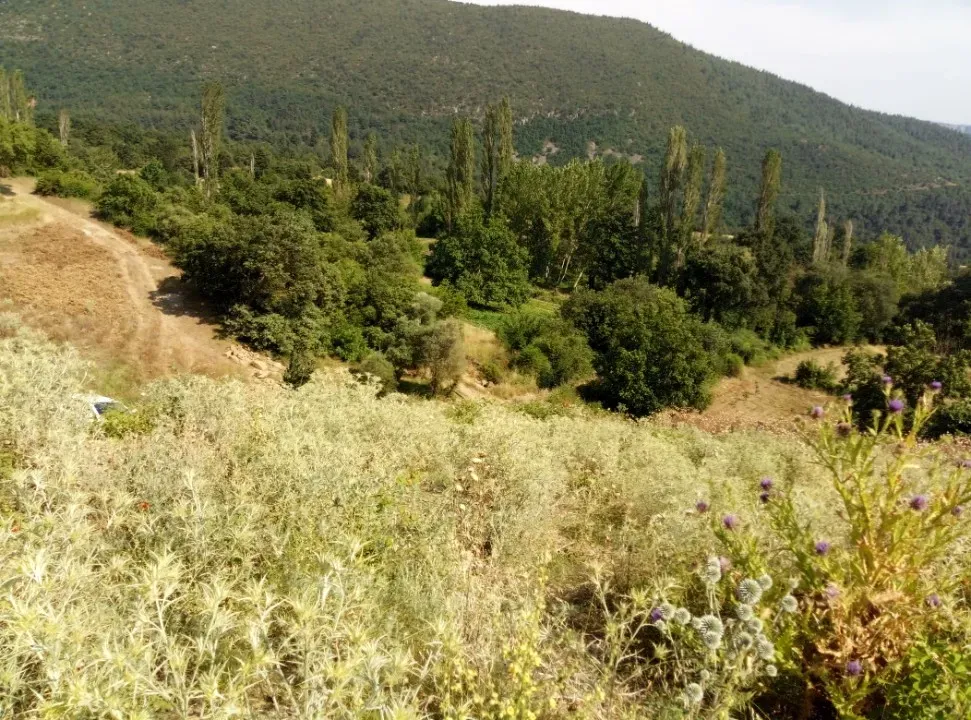 AVCI EMLAK'TAN GEYVE KARACAÖREN KÖYÜNDE 1020 m2 % 40 İMARLI MANZARALI HESAPLI ARSA