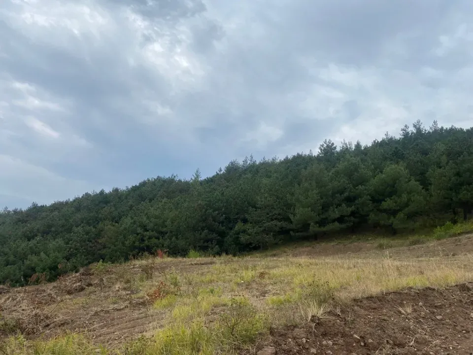 KÖPRÜBAŞI'NDA 1845 m2 MANZARALI TİNY HOUSE VE BUNGALOW İÇİN İDEAL YATIRIMLIK ARAZİ