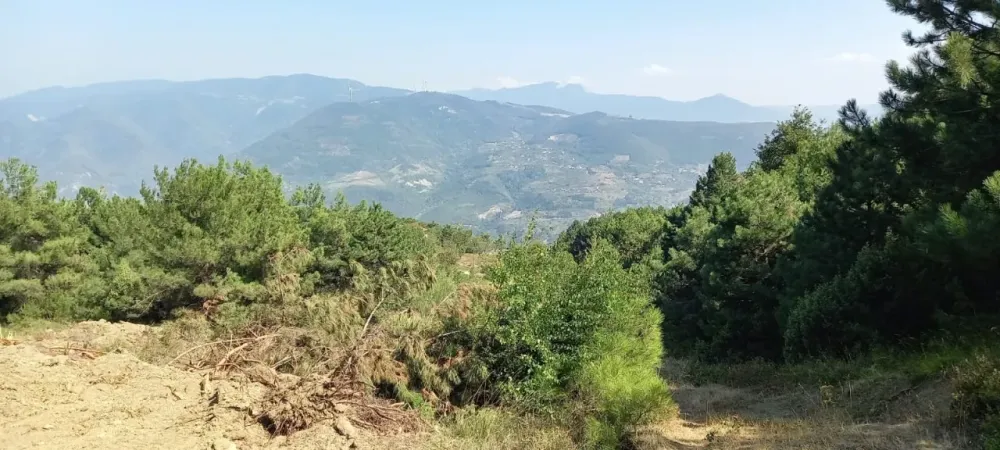 KÖPRÜBAŞI'NDA 1845 m2 MANZARALI TİNY HOUSE VE BUNGALOW İÇİN İDEAL YATIRIMLIK ARAZİ