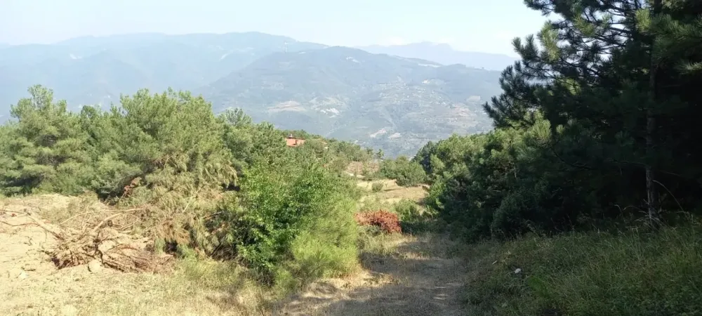 KÖPRÜBAŞI'NDA 1845 m2 MANZARALI TİNY HOUSE VE BUNGALOW İÇİN İDEAL YATIRIMLIK ARAZİ