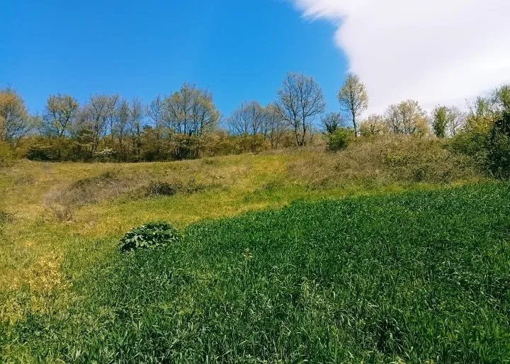 ***YATIRIMLIK TARLA***