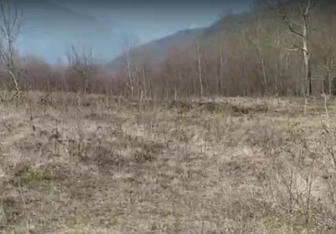 GEYVE KAMIŞLI'DA SATILIK İMARLI ARSALAR