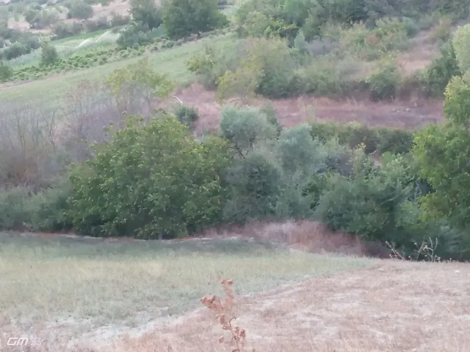 GEYVE HALDİYE'DE  SATILIK TARLA