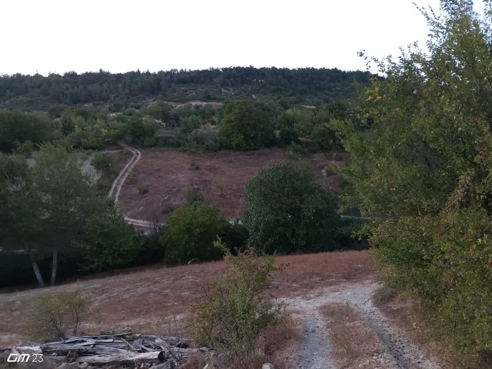 GEYVE HALDİYE'DE  SATILIK TARLA