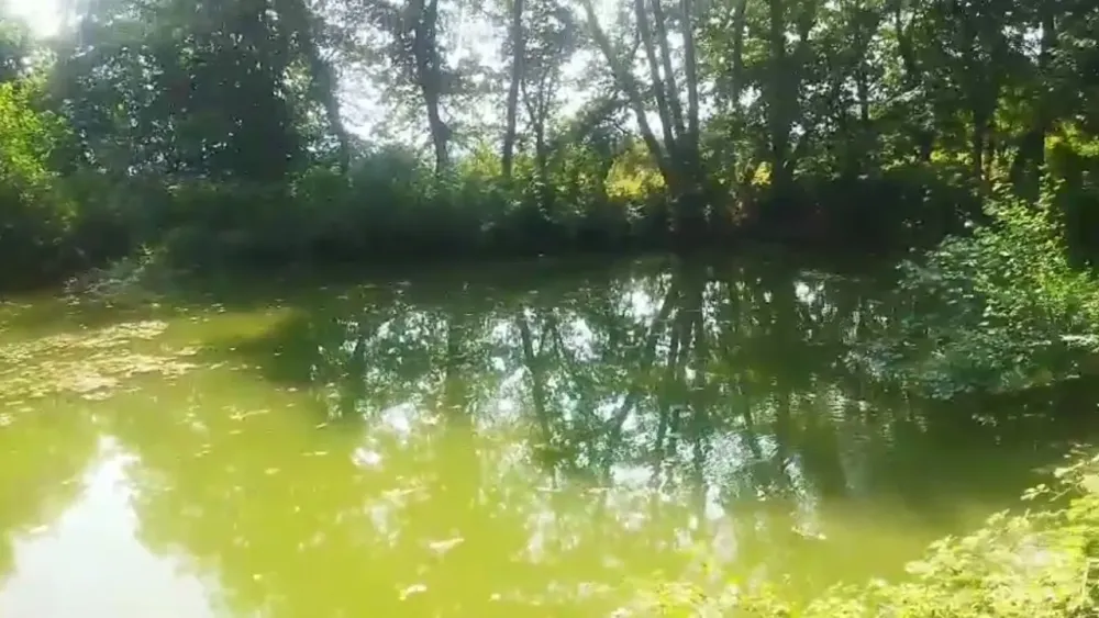 Satılık Mesire Alanı