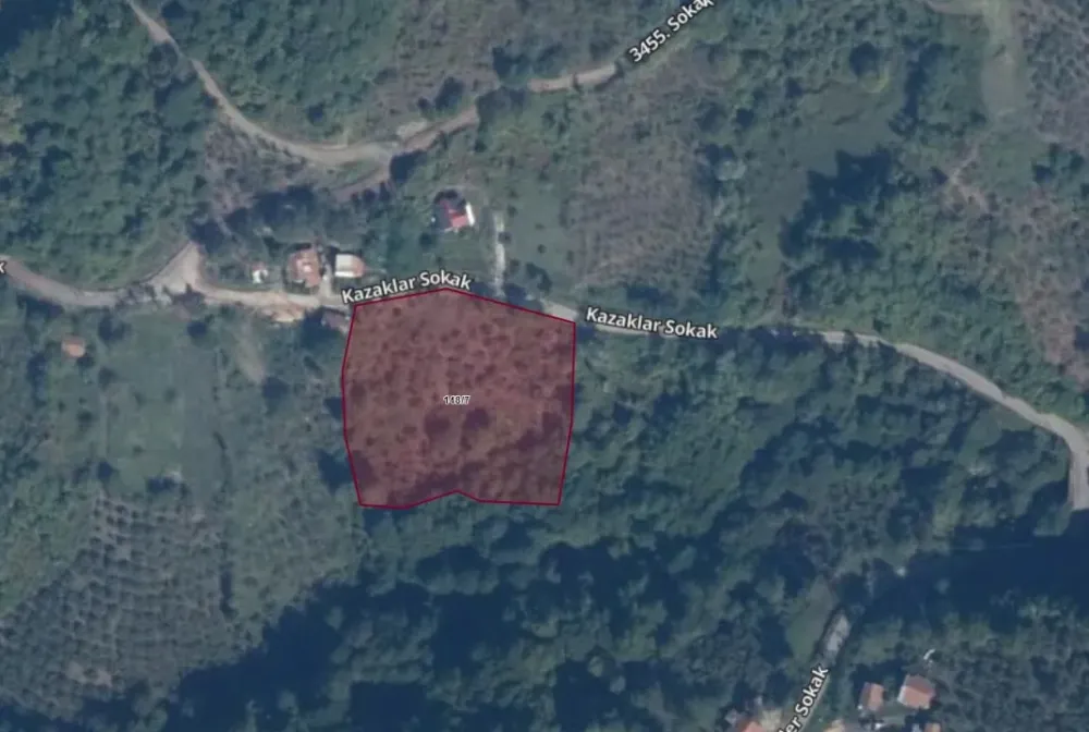 GEYVE KAMIŞLIDA SATILIK FINDIK BAHÇESİ