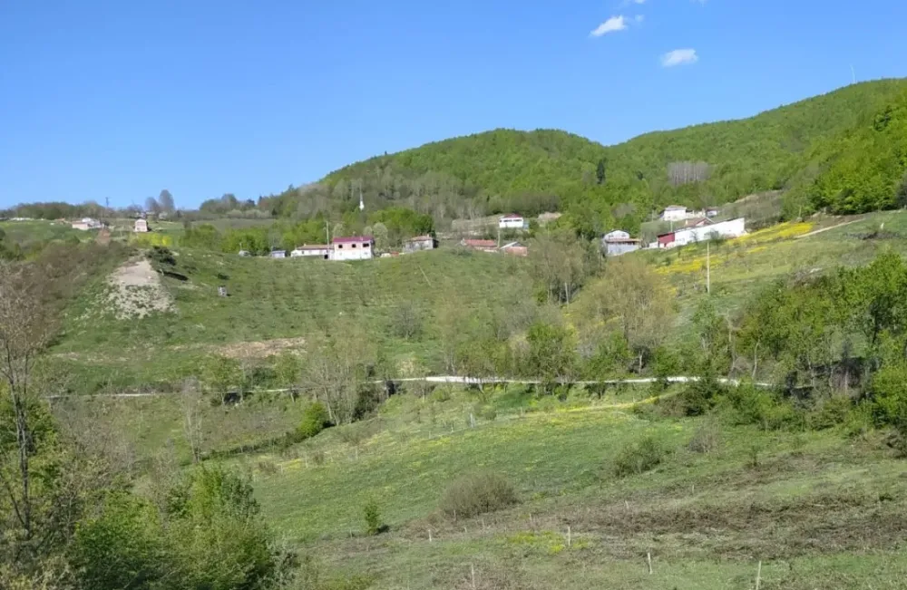 GEYVE KAMIŞLIDA SATILIK ARSA