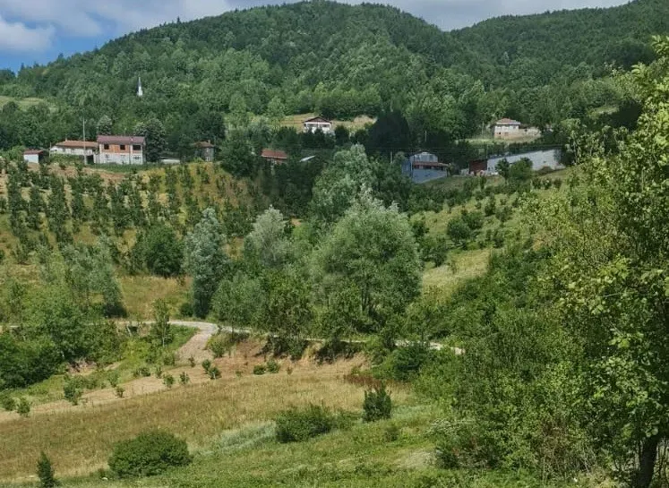 GEYVE KAMIŞLIDA SATILIK ARSA