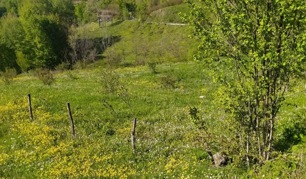 GEYVE KAMIŞLIDA SATILIK  TARLA