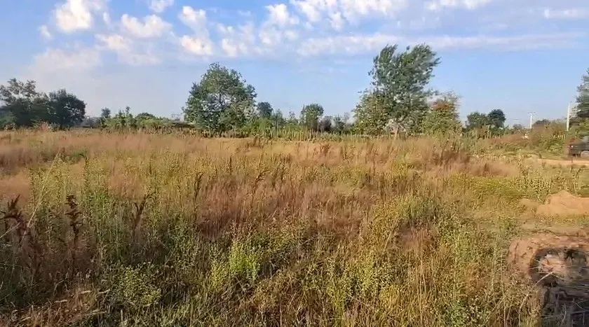 Fidan ve Süs Bitkisi Üretimine Uygun Tarla