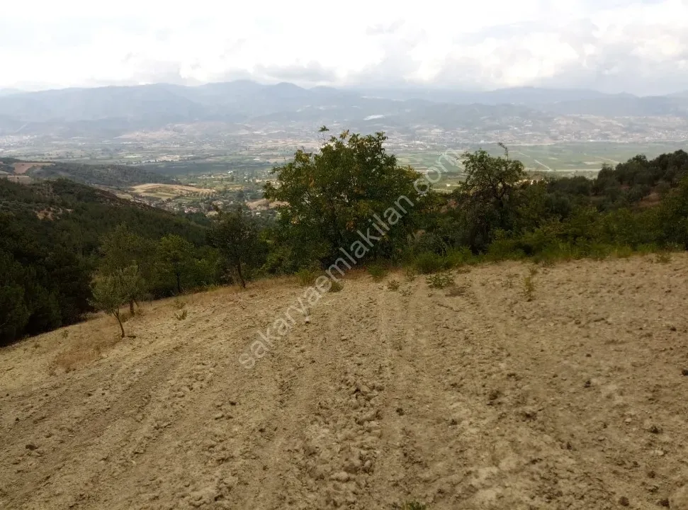 Ceceler Köyünde, (Merkeze 8 km.) 2122 m² - Hesaplı, Panoramik Manzaralı, Ulaşımı Kolay, Ceviz, Kiraz, Zeytin Dikili Bahçe