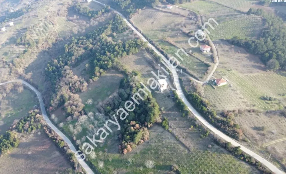 Ceceler Köyünde, (Merkeze 8 km.) 2122 m² - Hesaplı, Panoramik Manzaralı, Ulaşımı Kolay, Ceviz, Kiraz, Zeytin Dikili Bahçe