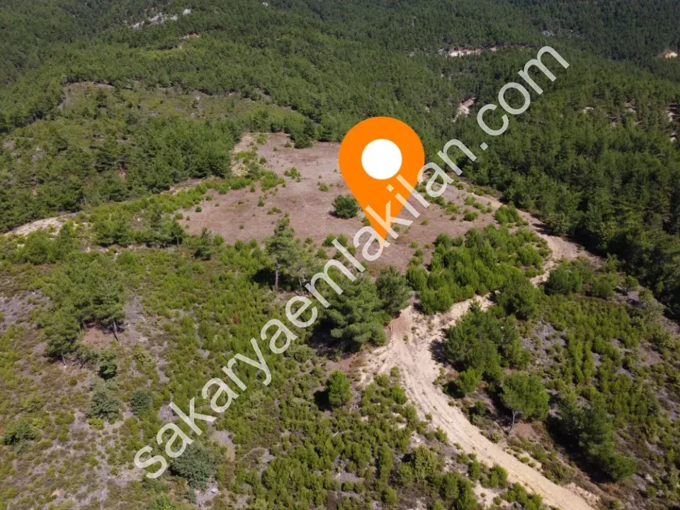 ÇAMLIK 2090 m² PANORAMİK MANZARALI DOĞA İLE İÇ İÇE HOBİ BAHÇELİK