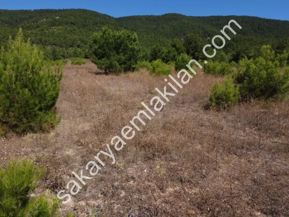 ÇAMLIK 2090 m² PANORAMİK MANZARALI DOĞA İLE İÇ İÇE HOBİ BAHÇELİK