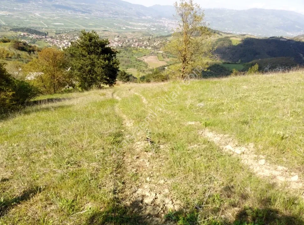 GEYCE CECELER KÖYÜNDE 6089 m² FUL MANZARALI YATIRIM DEĞER, YÜKSEK PROJELİK ARAZİ