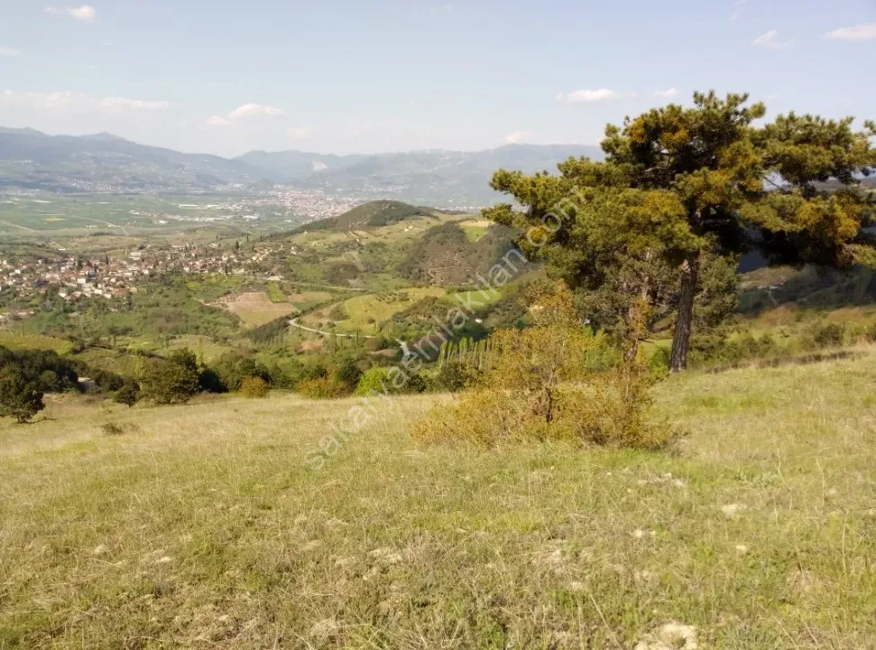 GEYCE CECELER KÖYÜNDE 6089 m² FUL MANZARALI YATIRIM DEĞER, YÜKSEK PROJELİK ARAZİ