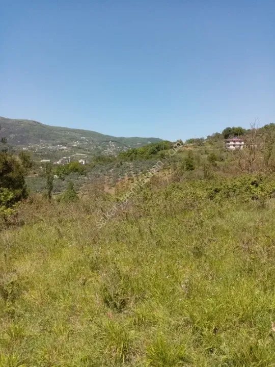 ARAÇ TAKASLI - GEYVE ALİFUATPAŞA'DA 2950 m² MANZARALI HESAPLI ARAZİ
