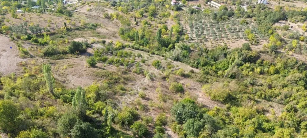 ARAÇ TAKASLI - GEYVE ALİFUATPAŞA'DA 2950 m² MANZARALI HESAPLI ARAZİ