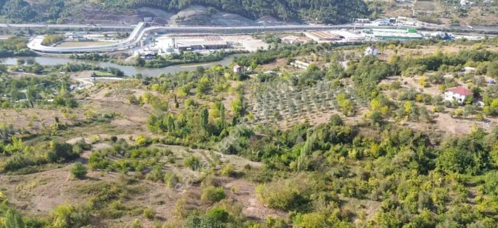 ARAÇ TAKASLI - GEYVE ALİFUATPAŞA'DA 2950 m² MANZARALI HESAPLI ARAZİ