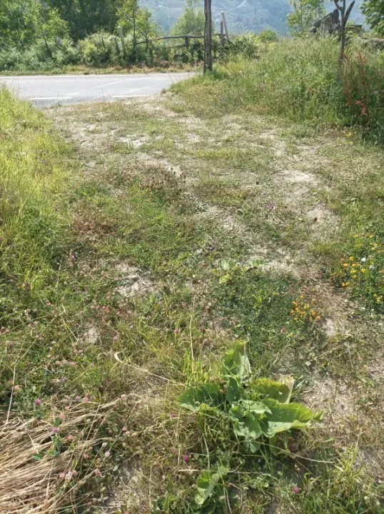 KAMIŞLI'DA SATILIK ARSA