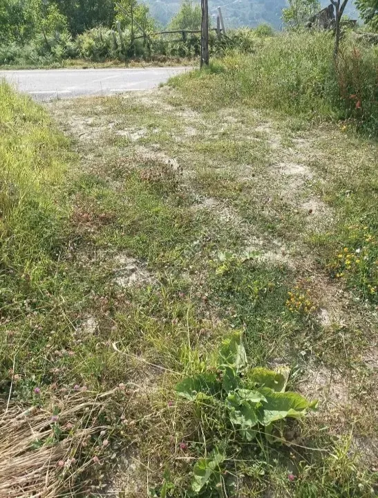 KAMIŞLI'DA SATILIK ARSA