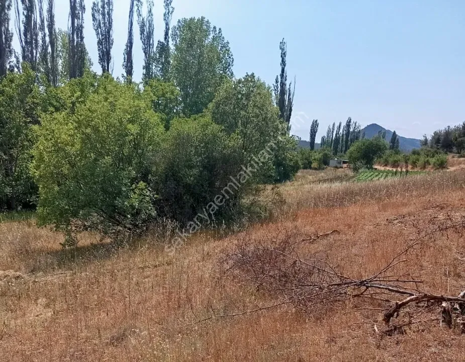 KARACAÖREN'DE SATILIK TARLA